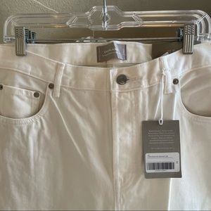 Everlane 90s cheeky straight jean in Bone